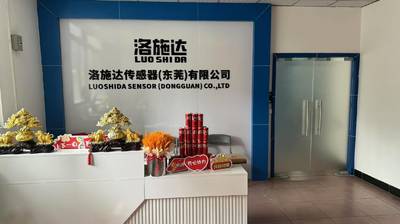 Chiny Luo Shida Sensor (Dongguan) Co., Ltd.